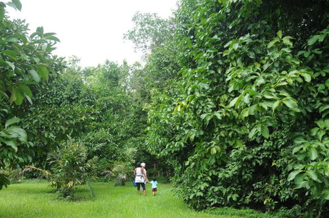 Wildwood - Dalby Accommodation 1