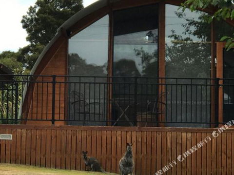 Bruny Island Accommodation 43 Degrees Beachside Studio Spa Apartments (1) - Dalby Accommodation 1