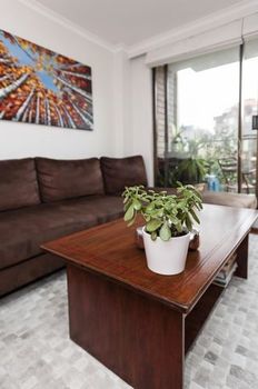 Potts Point Springfield Avenue (I) - Dalby Accommodation 1