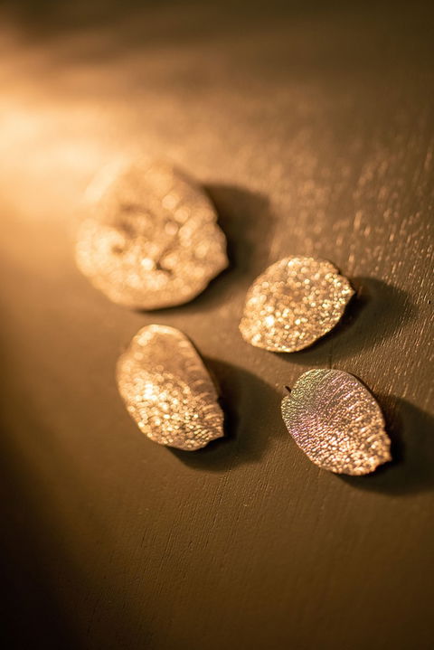 Majestic M Suites - Dalby Accommodation 1