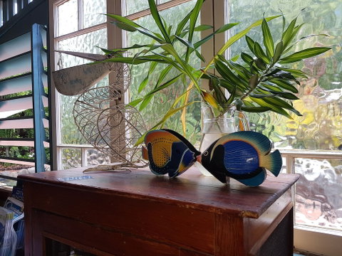 Lilybank Guest House - Dalby Accommodation 3
