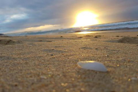 Eagles Loft - Dalby Accommodation 6