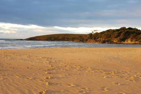 Eagles Loft - Dalby Accommodation 5