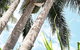 Brunswick Heads Chalet Motel - thumb 5