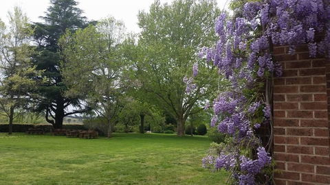 Petersons Armidale Winery & Guesthouse - Dalby Accommodation 0
