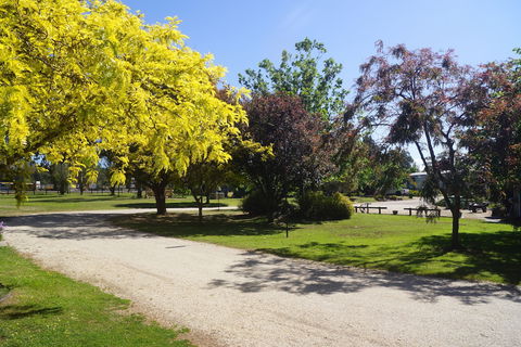 All Seasons Mansfield - Dalby Accommodation 5