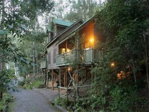 Barrington Wilderness Cedar Lodge Accommodation - Dalby Accommodation 2