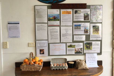 Alstonville Country Cottages - Dalby Accommodation 5