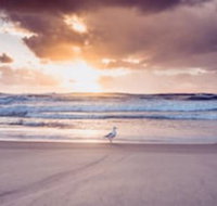 Blue Waters Motel - Dalby Accommodation
