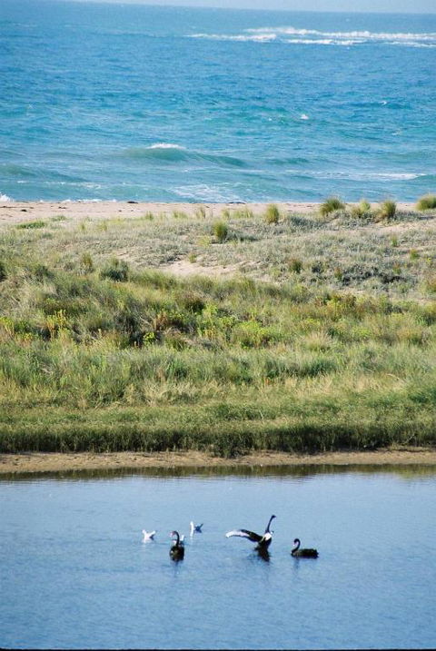 Apollo Bay Guest House - Dalby Accommodation 6