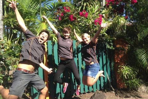 JJs Backpackers Hostel - Dalby Accommodation 6
