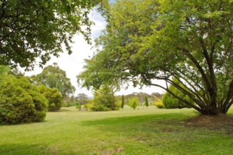 Armidale Rose Villa Motel - Dalby Accommodation 2