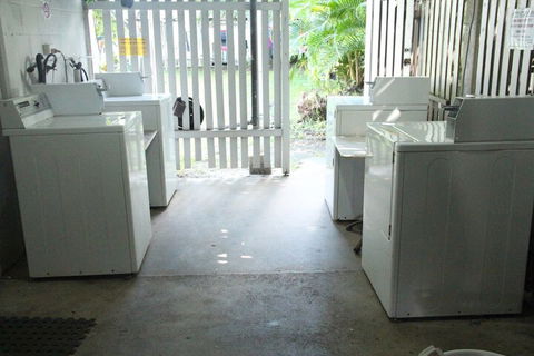 Asylum Cairns Hostel - Dalby Accommodation 7