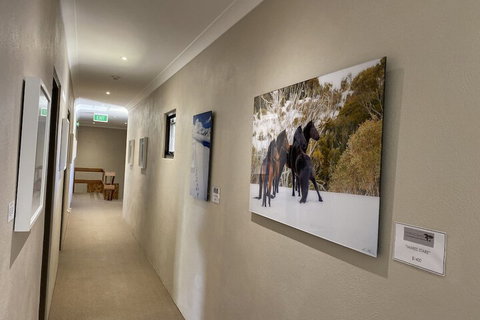 Jindy Inn - Dalby Accommodation 1