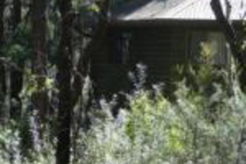 Twin Falls Bush Cottages - Dalby Accommodation 0