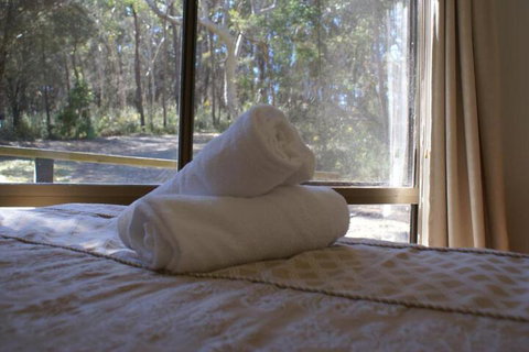 Twin Falls Bush Cottages - Dalby Accommodation 5