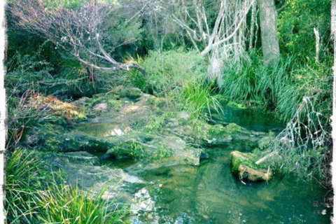 Twin Falls Bush Cottages - Dalby Accommodation 2