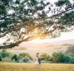 Cedia at Byron Bay Hinterland - Dalby Accommodation
