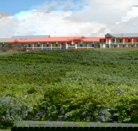 Turners Vineyard Motel and Function Centre - Dalby Accommodation