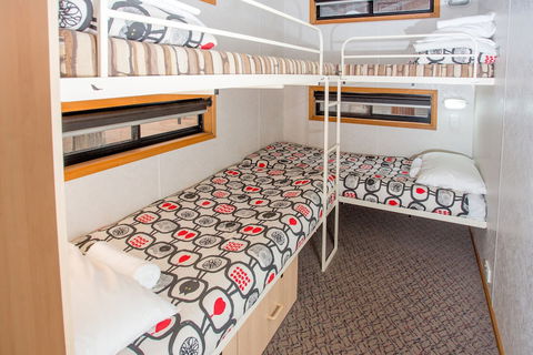BIG4 Renmark Riverfront Holiday Park - Dalby Accommodation 5