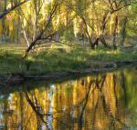 On The Banks - Dalby Accommodation
