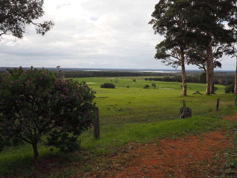 Augusta Sheoak Chalets - Dalby Accommodation 5