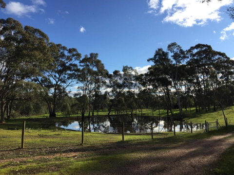 Donkey Tales Farm Cottages - Dalby Accommodation 5