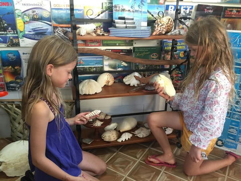 Villa Marine Holiday Apartments - Dalby Accommodation 6