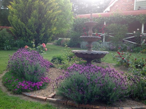 A Country Barn Retreat - Dalby Accommodation 6