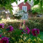 A Country Barn Retreat - Dalby Accommodation 0