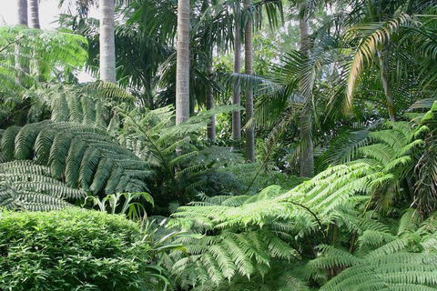 Amore Mt Tamborine - Dalby Accommodation 1