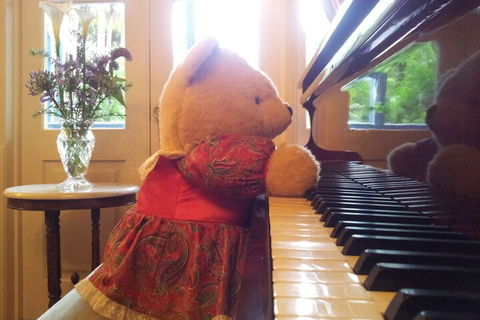 Amore Mt Tamborine - Dalby Accommodation 4