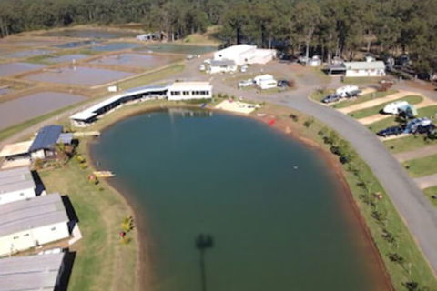 Australian Motor Homes Tourist Park - Dalby Accommodation 2