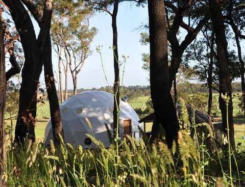 Mile End Glamping Pty Ltd - Dalby Accommodation 2
