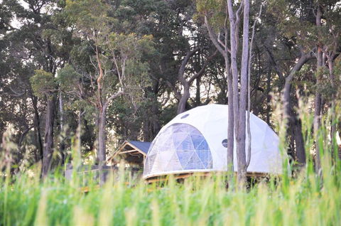 Mile End Glamping Pty Ltd - Dalby Accommodation 1