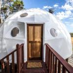 Mile End Glamping Pty Ltd - Dalby Accommodation 0