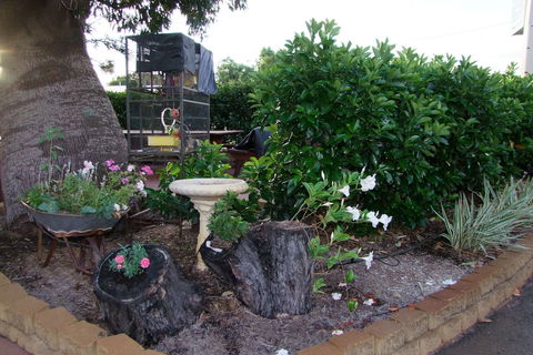 Acacia Motel - Dalby Accommodation 2