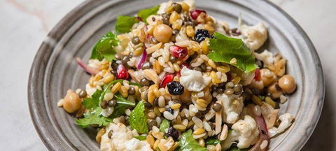 Mr Lawrence - Dalby Accommodation 1