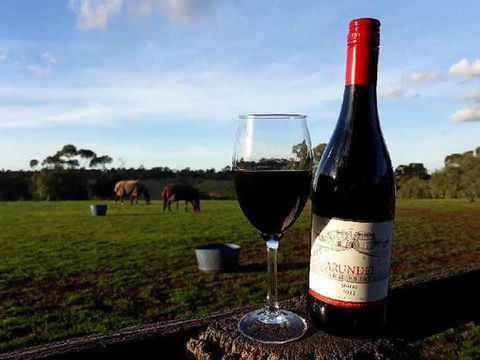 Arundel Farm Estate Winery - Dalby Accommodation 0