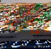 Crust Gourmet Pizza Bar Bendigo - Dalby Accommodation