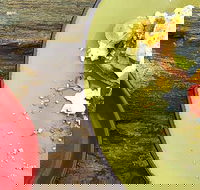 Tarnuk Room  Boon Wurrung Cafe - Dalby Accommodation