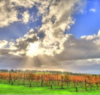 Max's at Red Hill Estate - Dalby Accommodation