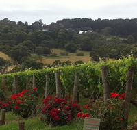Paringa Estate - Dalby Accommodation