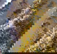 Horsham Masala Indian Restaurant - Dalby Accommodation