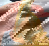 Coleraine Milk Bar - Dalby Accommodation