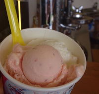 Bermagui Gelati Clinic - Dalby Accommodation