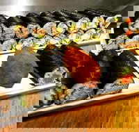 Freewave Sushi  Burgers - Dalby Accommodation