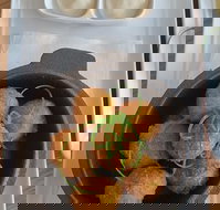 No. 7 - Dalby Accommodation