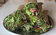 Santos Organics Mullumbimby - thumb 0
