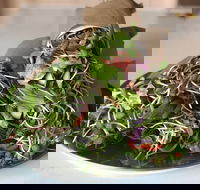 Santos Organics Mullumbimby - Dalby Accommodation